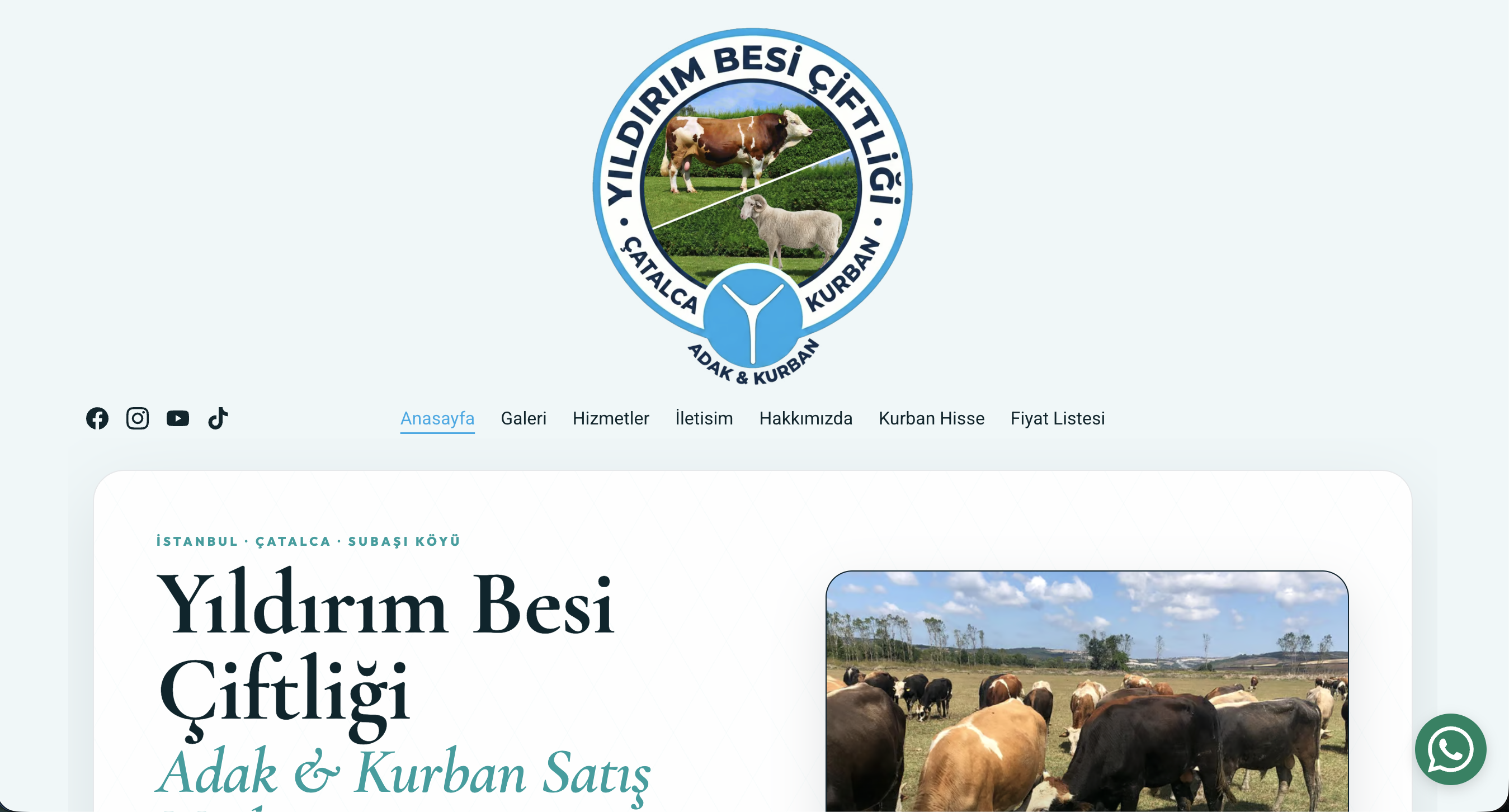 Çatalca Adak